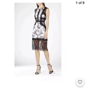 BCBGMAXAZRIA Shawna Lace Appliqué Dress 0 Black